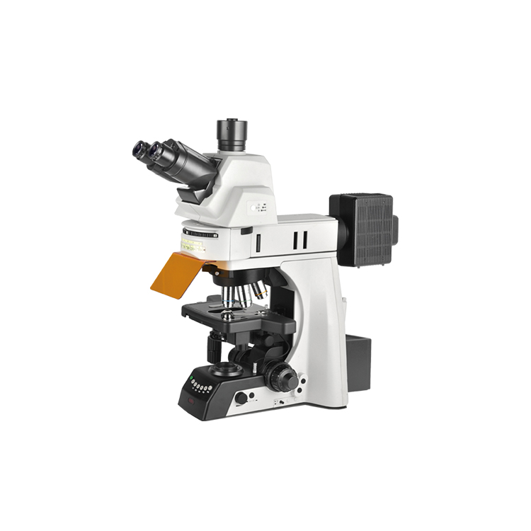 NE930-FL电动荧光显微镜_宁波永新光学仪器有限公司