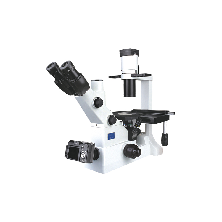 XD-202显微镜_江南永新专业生产显微镜